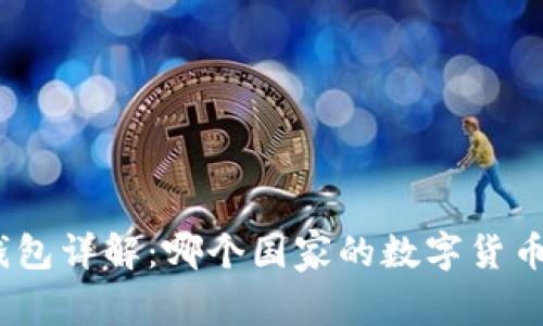 : 泰达币钱包详解：哪个国家的数字货币选择最优？