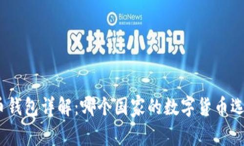 : 泰达币钱包详解：哪个国家的数字货币选择最优？