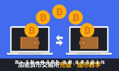 深入了解比特币钱包：选择、使用与安全性