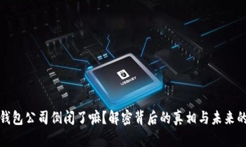 比特币钱包公司倒闭了嘛？解密背后的真相与未来的可能性