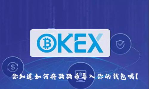 你知道如何将狗狗币导入你的钱包吗？