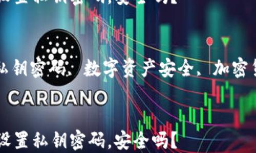 
比特币钱包没设置私钥密码，安全吗？

关键词
比特币钱包, 私钥密码, 数字资产安全, 加密货币, 钱包保护


比特币钱包没设置私钥密码，安全吗？