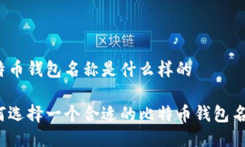 比特币钱包名称是什么样的

如何选择一个合适的比特币钱包名称？