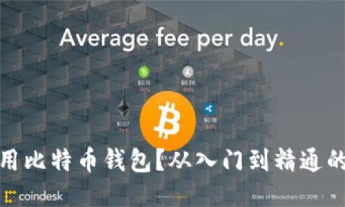 如何使用比特币钱包？从入门到精通的全攻略
