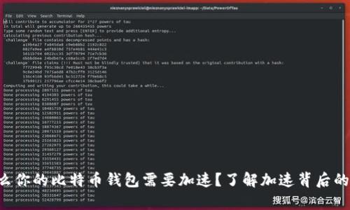 为什么你的比特币钱包需要加速？了解加速背后的奥秘！