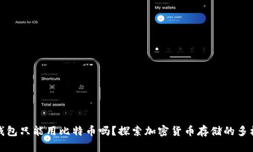 冷钱包只能用比特币吗？探索加密货币存储的多样性
