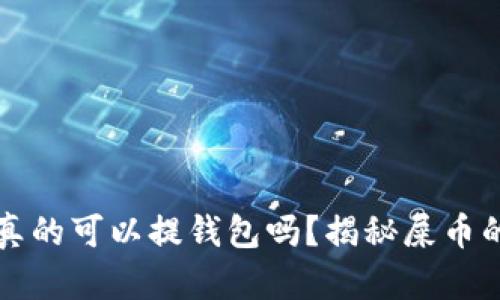 屎币真的可以提钱包吗？揭秘屎币的真相